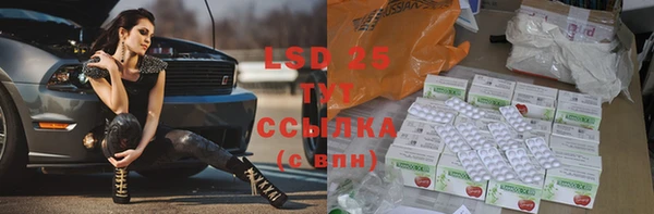 стаф Арсеньев