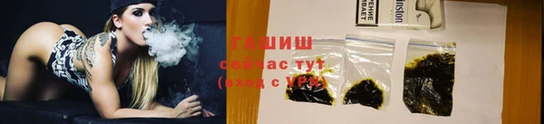 стаф Арсеньев
