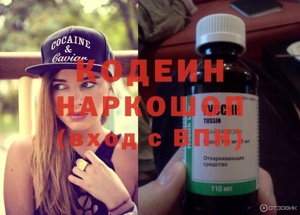 стаф Арсеньев