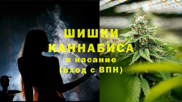 трава Аркадак