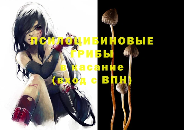 стаф Арсеньев